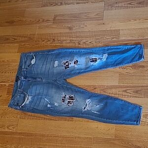 Judy Blue Skinny Fit Size 22w Womens Jeans